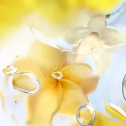 Femme LANCÔME Eau De Toilette|Ô ZENITH                Eau de Toilette
