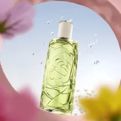 Femme LANCÔME Eau De Toilette|ÔFF NOW                Eau de Toilette