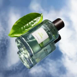 Les Senteurs Gourmandes Parfum Mixte|Thé Absolu                Eau de Parfum