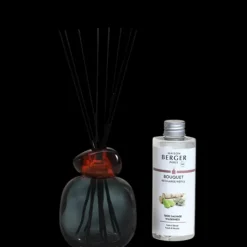 Maison Berger Paris Parfum D'Ambiance & Diffuseur D'Intérieur|               Bouquet Parfumé Minéral Noir