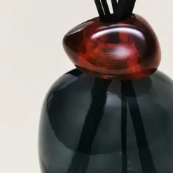 Maison Berger Paris Parfum D'Ambiance & Diffuseur D'Intérieur|               Bouquet Parfumé Minéral Noir