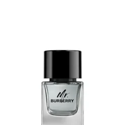 Homme Burberry Eau De Toilette|Mr.                Eau de Toilette