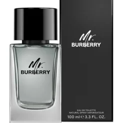 Homme Burberry Eau De Toilette|Mr.                Eau de Toilette