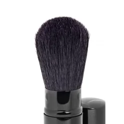 Novex Accessoires Maquillage|Pinceau Fard à Joue                Retractable Rond
