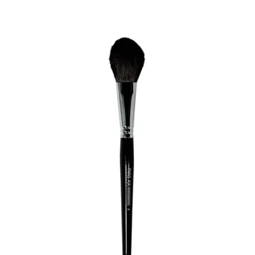 Parisax Accessoires Maquillage|               Pinceau Blush n°4