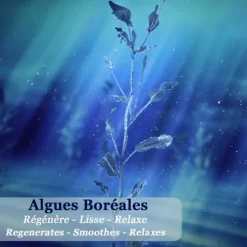 Polaar Masque|Soin Naturel & Ecoresponsable|Nuit Polaire Aux Algues Boréales                Masque Déstressant