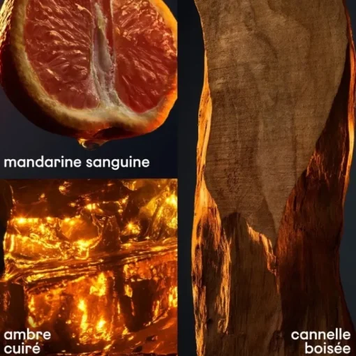 Homme RABANNE Gamme Complémentaire Parfumée|1 Million                Déodorant - Stick