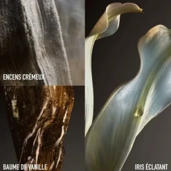 Femme RABANNE Eau De Parfum|Fame Couture                Eau de Parfum - Edition Limitée