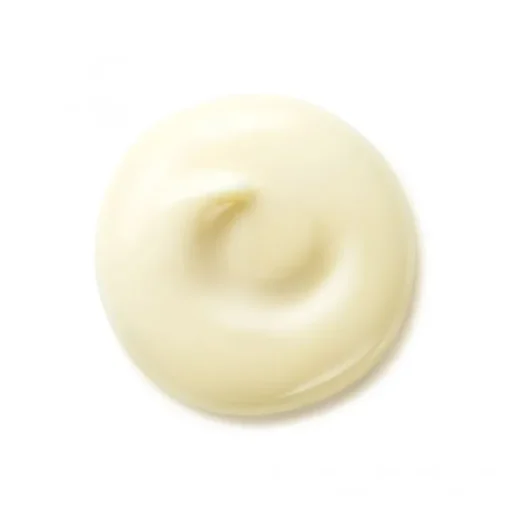 SHISEIDO Soin De Jour|Benefiance                Crème Lissante Anti-Rides SPF 25