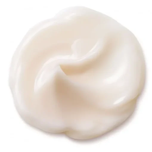 SHISEIDO Soin Jour & Nuit|Bio-Performance                Crème Super Revitalisante Absolue
