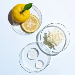 SHISEIDO Soin Jour & Nuit|Soin De Jour|Eudermine                Essence Activatrice Revitalisante