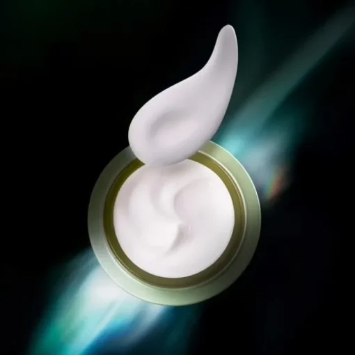 SHISEIDO Soin Jour & Nuit|Future Solution LX                Enmei Crème Yeux Ultime