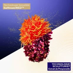 SHISEIDO Soin Jour & Nuit|Vital Perfection                Crème Suprême Concentrée