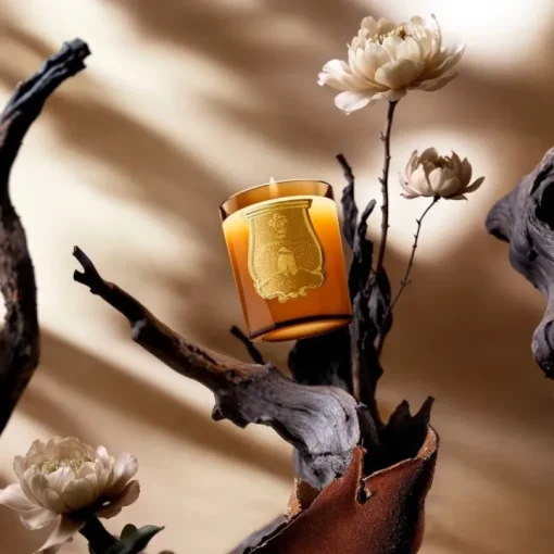 Trudon Bougie Parfumée|Altaïr - Oud et Pivoine                Bougie Parfumée