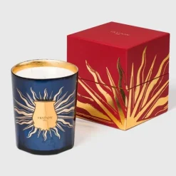 Trudon Bougie Parfumée|Astral Fir - Sapin de Noël                Bougie Intermède