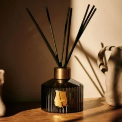 Trudon Parfum D'Ambiance & Diffuseur D'Intérieur|Cyrnos                Diffuseur d'Ambiance