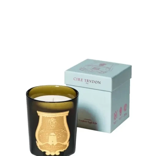 Trudon Bougie Parfumée|Dada • Thé et Vétiver                Bougie Parfumée