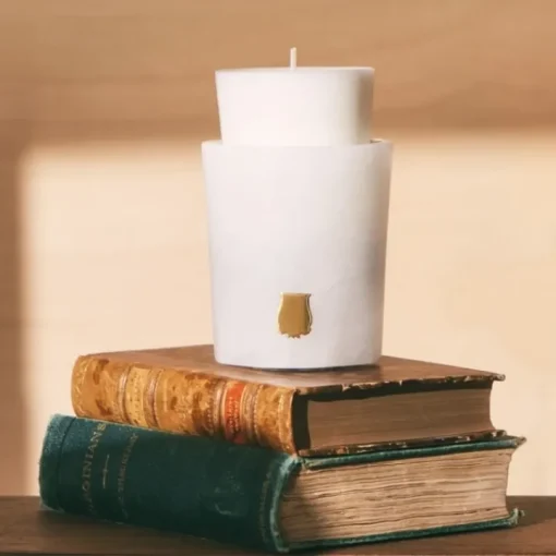 Trudon Bougie Parfumée|Les Albâtres Ernesto                Recharge Bougie Parfumée