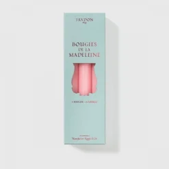 Trudon Chandelle & Cierge|Madeleine Rose                Chandelle