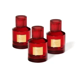 Trudon Parfum Mixte|Mystique                Parfum