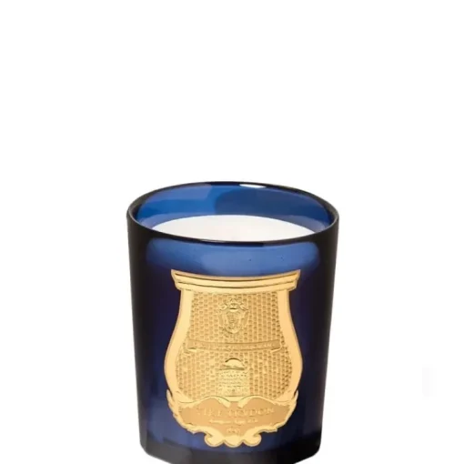 Trudon Bougie Parfumée|Reggio • Pointe de Citrus de Calabre                Bougie Parfumée