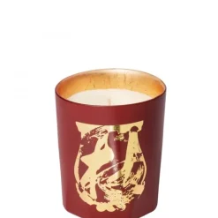 Trudon Bougie Parfumée|Terre à Terre                Bougie Parfumée