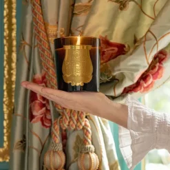 Trudon Bougie Parfumée|Tuileries                Bougie Parfumée Vert Antique