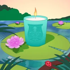Trudon Bougie Parfumée|Under The Trees                Bougie Parfumée - Jus Vert Vivifiant