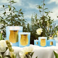Trudon Bougie Parfumée|Versailles                Grande Bougie Parfumée