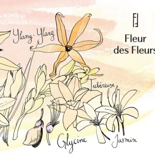 Une Nuit Nomade Une Nuit Nomade|Fleur des Fleurs                Eau de Parfum - Format Voyage