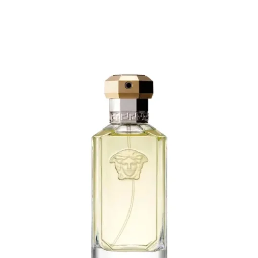 Homme Versace Eau De Toilette|The Dreamer                Eau de Toilette