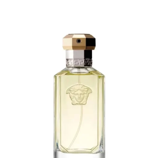 Homme Versace Eau De Toilette|The Dreamer                Eau de Toilette