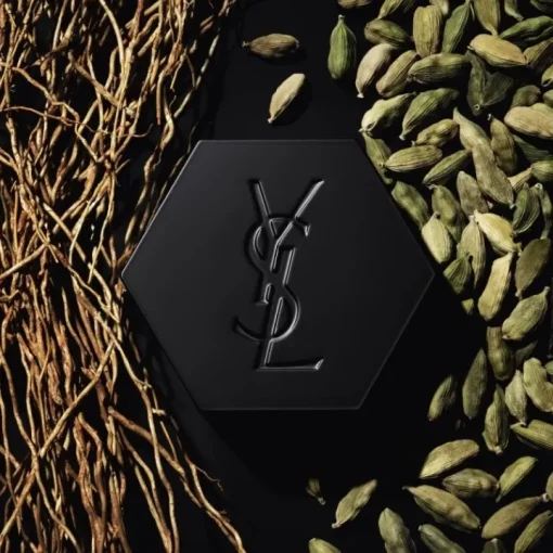 Homme YVES SAINT LAURENT Eau De Toilette|La Nuit de L'Homme                Eau de Toilette