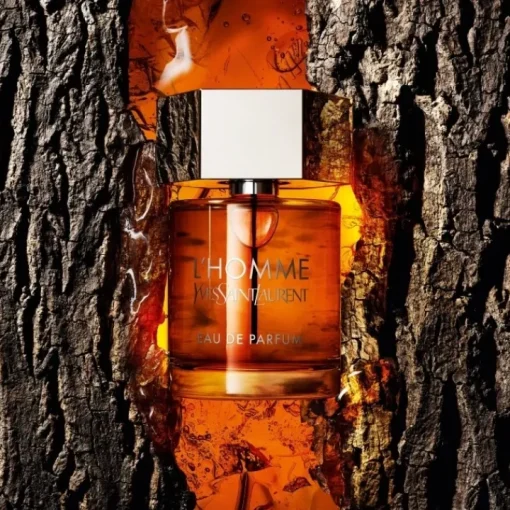Homme YVES SAINT LAURENT Eau De Parfum|L'Homme                Eau de Parfum