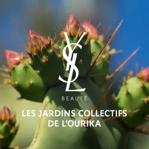 Femme YVES SAINT LAURENT Gamme Complémentaire Parfumée|Libre                Huile Sublimatrice pour le Corps