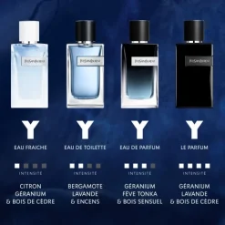 Homme YVES SAINT LAURENT Eau De Toilette|Y                Eau de Toilette